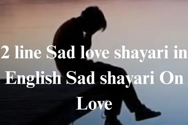 2 line Sad love shayari in English
