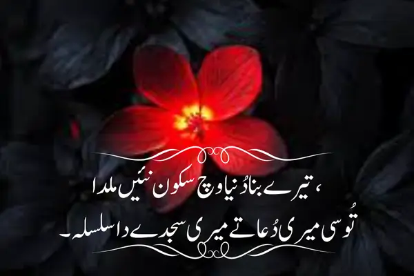 Punjabi-Sad-Love-Shayari