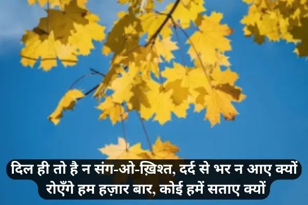 2-line-sad-Shayari-in-English