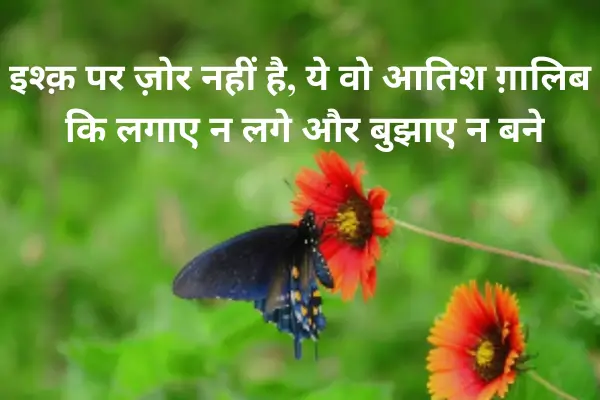2-line-sad-Shayari-in-English