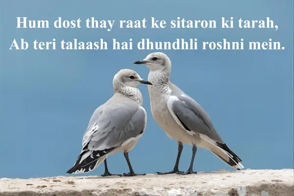 Dosti-Sad-Shayari-in-English