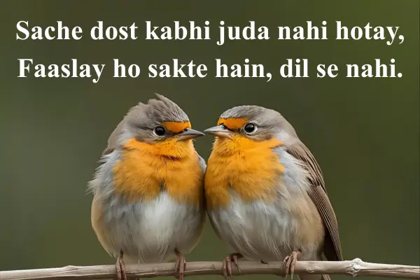 Dosti-Sad-Shayari-in-English