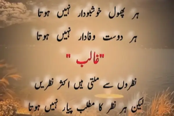 Sad-Love-Shayari-in-English