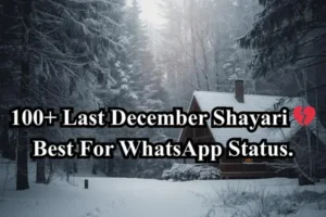 Last December Shayari 💔
