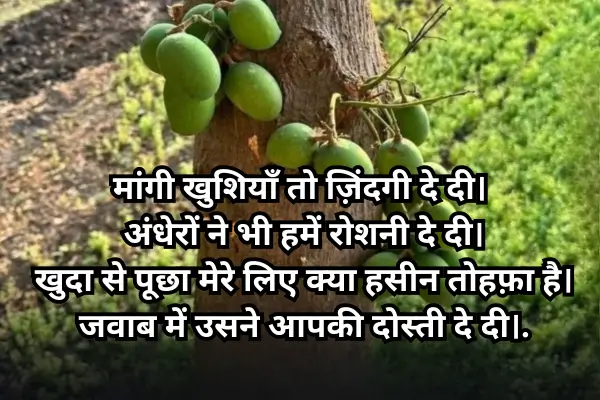 Dosti-Shayari-in-English-Hindi