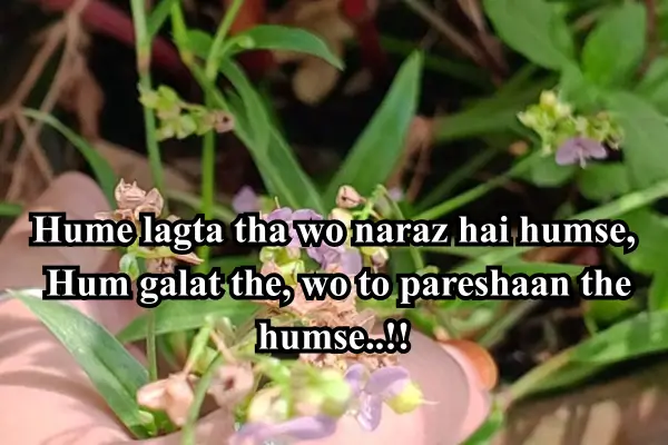 Dosti-Shayari-in-English-Hindi