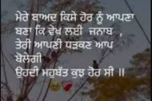 punjabi-shayari-attitude