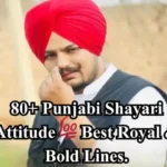 punjabi-shayari-attitude
