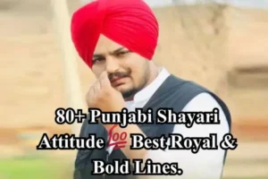 punjabi-shayari-attitude
