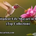 Student-life-shayari-in-hindi