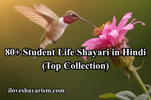 Student-life-shayari-in-hindi