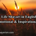 life-shayari-in-english