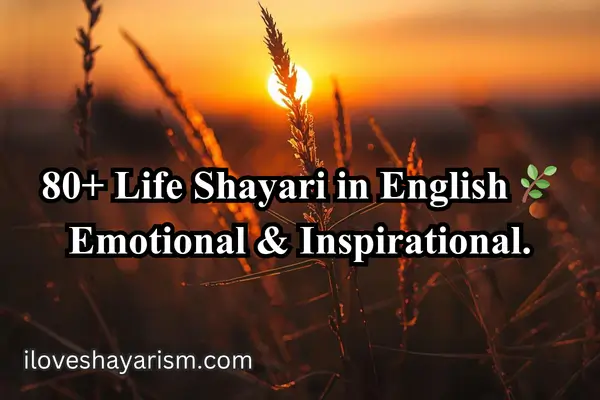 life-shayari-in-english